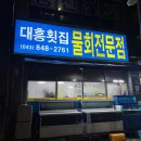 황금오징어 활어회센터2 이미지