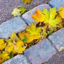 청담행정사사무소 이미지