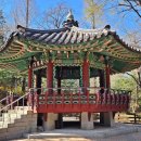 학동공원 Daum카페