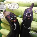 사진동화