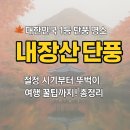 단아인셀덤 | 🍁 대한민국 1등 단풍 명소, 내장산 단풍 절정 시기부터 뚜벅이 여행 꿀팁까지! 총정리