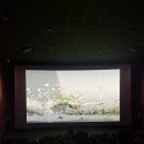 아이맥스 (IMAX) | #508 인천 CGV 아이맥스 후기 🎥 @프로젝트 헤일메리 IMAX 꼭 봐야 하는 이유 (일반관 차이, 주차 정보)