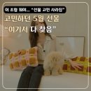 인테리어와 임수향이 추천하는 센스 있는 건강기능식품 리스트, “공간,선물 동시 해결” 고민 사라졌어요