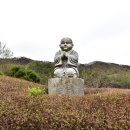 살다보면 Daum카페
