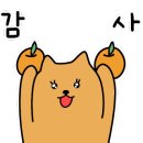 속초애견펜션양양빈티지하우스 이미지