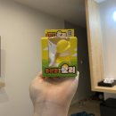 오리여행 이미지