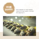 추자도수산업협동조합 이미지