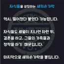 결혼반지를 네번째손가락에 끼는이유 이미지