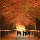 태룡초등학교 이미지