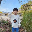 남자 아동복 브랜드 코코모메 등원룩으로도 좋죠
