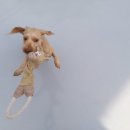 박순호의 아이슬란드 이미지