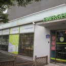 교대동물병원 이미지