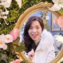 하루꽃 이미지