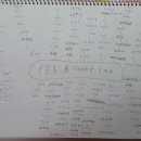 PB3:A Clever Cat 이미지