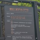 노원-상계-2116 | 2025 불암산 철쭉제 철쭉동산 나비정원 개화현황과 주차