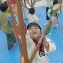 화신태권도 이미지