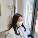제니스덴탈랩 | 잠실 석촌동 미용실 추천! 곱슬머리와 스타일링 고민을 해결해준 '살롱마주'
