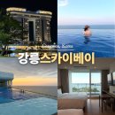 커피베이강릉내곡점 | 강릉 스카이베이 호텔 추천 오션뷰 호캉스 수영장 인피니티풀