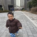 대전청사아람어린이집 | [내돈내산] 아람북스 지식특공대 대전 도란도란어린이서점 구매 후기