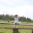 자연목장2 이미지