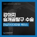 우리동물메디컬센터 이미지