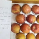 이성규농장 이미지