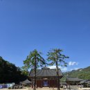 湖西第一伽藍 法住寺(호서제일가람 법주사)가 구경 온 날더러 머리를 깎으라 하네 이미지