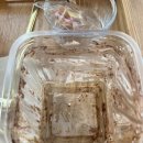 카페진북동 이미지