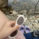 신돌고래 이미지