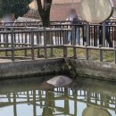 산책하는날 | [동물원] 귀여운 동물 보며 산책하는 "전주동물원" 후기🐘 [전주]