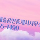 롯데중앙공인중개사사무소 이미지