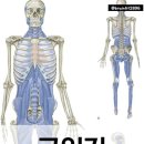 브레인피트니스 이미지