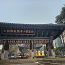 광화문국제 행정사사무소 이미지