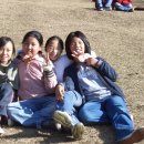 신답초교 이미지