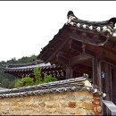 첨모당 이미지