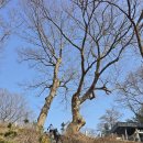 율곡식당 이미지