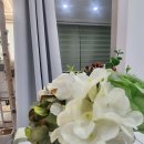 보건안마지압원 이미지