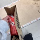 프리원핏 신중동점 | 5월 별거 없는 일상! (웨딩슈즈 추천,웨딩스냅 추천)