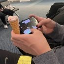 0909-0013 | [1월 홋카이도 여행 코스] 삿포로, 비에이, 오타루🌲🤍