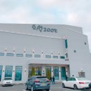 소석200℃