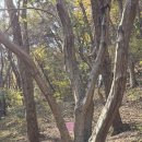 웅남동행정복지센터 이미지