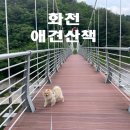 애견의숲 이미지