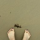 다은민박 이미지