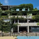 금잔디상회 이미지