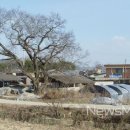 금지면 방촌마을 이미지