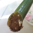 돈나와라뚝딱 이미지