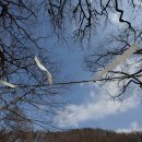 가정3리 이미지