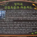 찬물샘약수터 Daum카페