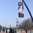 프롬티니 이미지