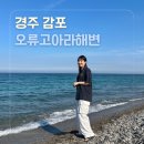 [경주/감포] 지치고 병든 우리를 위한 바다여행 : 오류고아라해변 (가성비 4인 숙소 추천)